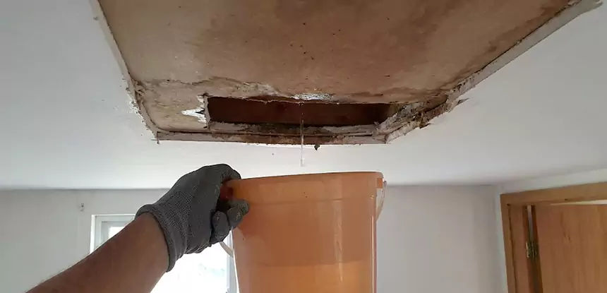 Ceiling Mold Repair Norcross